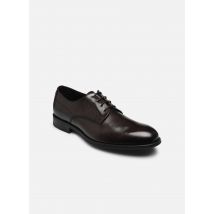 Kost - Schnürschuhe SPENCER - braun - Größe 40