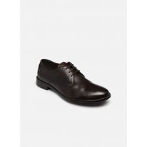 Chaussures à lacets BERTIE Marron - Base London - Disponible en 40