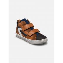 Romagnoli 3637 Marron - Baskets - Disponible en 30