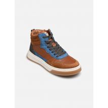 Romagnoli 3550 Marron - Baskets - Disponible en 26