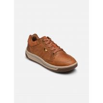 Caterpillar - APA CUSH - braun - Sneaker - Größe 43
