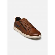 Redskins - Distrait - braun - Sneaker - Größe 40