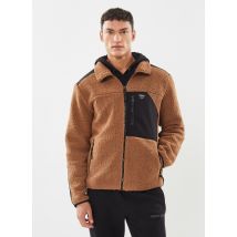 Icepeak - ARDEM Marrone - Abbigliamento