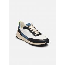 Clae - CHINO - mehrfarbig - Sneaker - Größe 41
