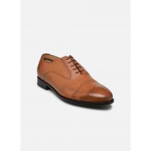 PS Paul Smith - Schnürschuhe Maltby - braun - Größe 40