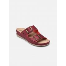 Scholl ABERDEEN - Mules et sabots - Disponible en 37