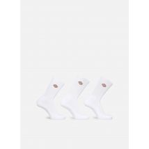 Chaussettes et collants Valley Grove Blanc - Dickies - Disponible en 43 - 46