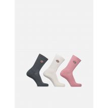 Chaussettes et collants Valley Grove Violet - Dickies - Disponible en 43 - 46