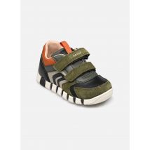 Geox - B IUPIDOO BOY Verde - Sneakers - Taglia 21