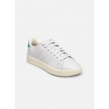 adidas sportswear - Advantage Premium W - grau - Sneaker - Größe 37 1/3