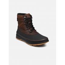 Bottines et boots Ankeny II Boot Wp Marron - Sorel - Disponible en 40