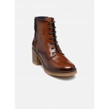 Dorking - Stiefeletten & Boots Oprah D9186 - braun - Größe 39