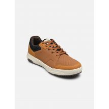 TBS Neterro Bruin - Sneakers - Beschikbaar in 40