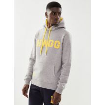 Vêtements HOODIE M Gris - Hagg - Disponible en M