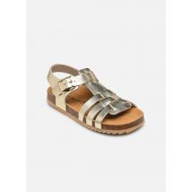 Rose et Martin - Sandalias BOLISSE - Oro y bronce - Talla 32