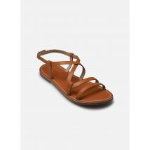 Sandalen Sb 1411 Bruin - L'Atelier Tropézien - Beschikbaar in 37