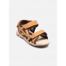 I Love Shoes - Sandalias THEORIVER - Marrón - Talla 34