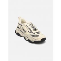 Steve Madden - Possession-E - Beige - Deportivas