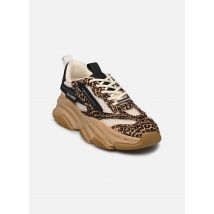 Steve Madden - Possession-E Marrone - Sneakers - Taglia 41