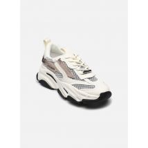 Steve Madden - Possession-E - Blanco - Deportivas