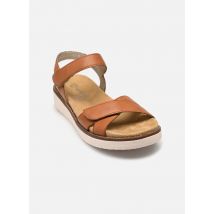 Remonte - Sandalias D2049 - Marrón - Talla 37