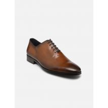 Chaussures à lacets GORDON Marron - Brett & Sons - Disponible en 42