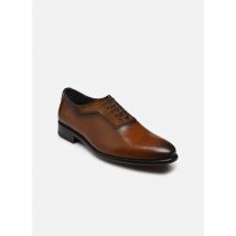 Brett & Sons - Schnürschuhe KLIP - braun - Größe 46