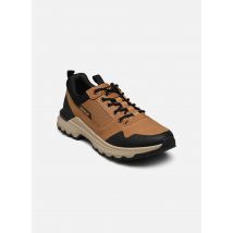 Caterpillar - COLORADO SNE LO - beige - Sneaker - Größe 42