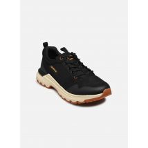 Caterpillar - COLORADO SNE LO - schwarz - Sneaker - Größe 43