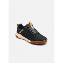 Caterpillar - HEX READY LOW - blau - Sneaker - Größe 43