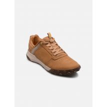 Caterpillar - HEX READY LOW - Beige - Sneakers - Maat 45