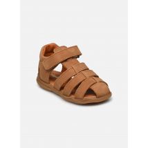 Sandalen 4381 Bruin - Babybotte - Beschikbaar in 21