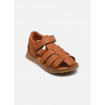 Babybotte - Sandalen 4671 - braun - Größe 32