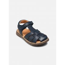 Sandales et nu-pieds Daros Bleu - Froddo - Disponible en 28