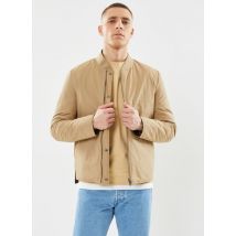 IKKS Men - Ropa MY45003 - Verde