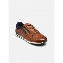 Redskins - LUCIDE 3 - Bruin - Sneakers - Maat 41