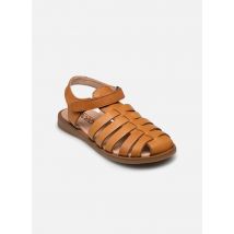 Sandales et nu-pieds 5726VE Marron - Acebo's - Disponible en 34