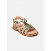 Aster - Sandalen Dingolette - gold/bronze - Größe 28