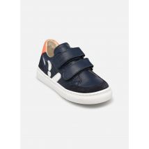 Aster - Sneakratch - blau - Sneaker - Größe 22