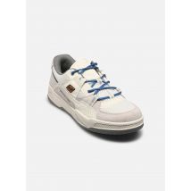 DC Shoes CONSTRUCT Beige - Baskets - Disponible en 40