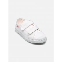 Cienta - Doble velcro punt. - weiß - Sneaker - Größe 22