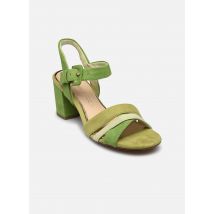 Marco Tozzi - Sandalen 28323-42 - grün - Größe 40