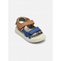 Sandales et nu-pieds Rolly Boy Scratch Multicolore - Shoo Pom - Disponible en 30