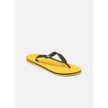 Ipanema IPANEMA CLAS BRASIL II AD - Tongs - Disponible en 41 - 42