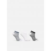 Sarenza Wear - Medias y Calcetines Lot de 3 paires invisible femme dentelle - Multicolor - Talla 39 - 41