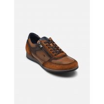 Fluchos - DANIEL F1288 - braun - Sneaker - Größe 40