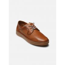 Fluchos - LEO F1945 - Marrón - Deportivas - Talla 43