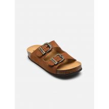 Plakton - Clogs & Pantoletten CP Beta West - braun - Größe 36