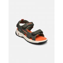 Kangaroos - Sandalen K-AS Ture - Groen - Maat 33