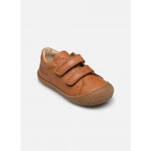 Naturino Cocoon Low VL Marron - Baskets - Disponible en 25
